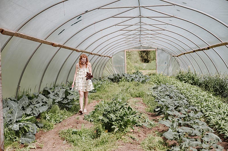Local farmer harvesting vegetables for her small business

